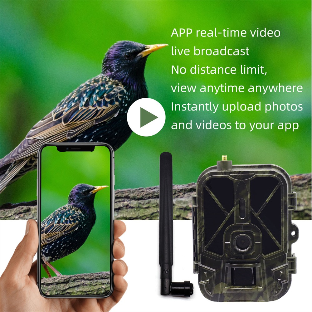 Hunting And Outdoor Shows - Outdoor 4G 120MP 4K Live Show