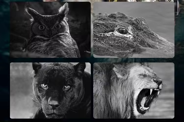 1080P Full HD IR Night Vision  - Outdoor Hunting Images ulasan dan harga