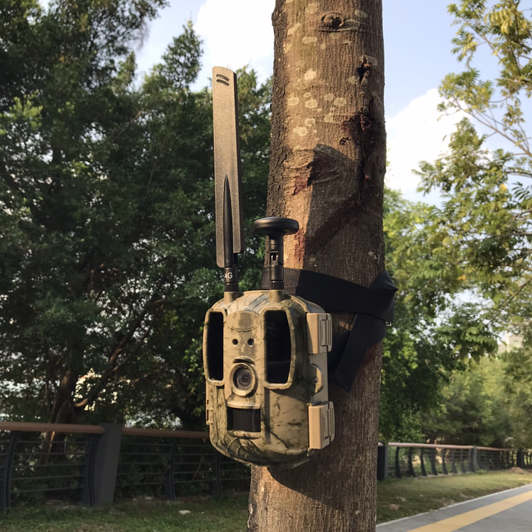 BALEVER Camera OEM Hunting Tra - Hunting Outdoor Camera ulasan dan harga