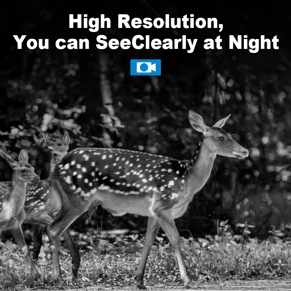 4G LTE Wildlife Solar Hunting  - Hunting Outdoor Camera ulasan dan harga