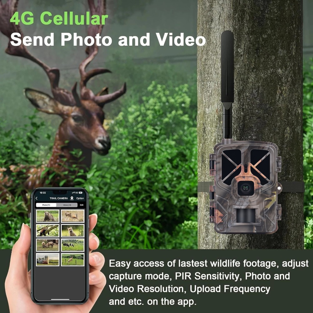 Outdoor 4G 30MP 2K Live Show W - Hunting And Outdoor Shows ulasan dan harga