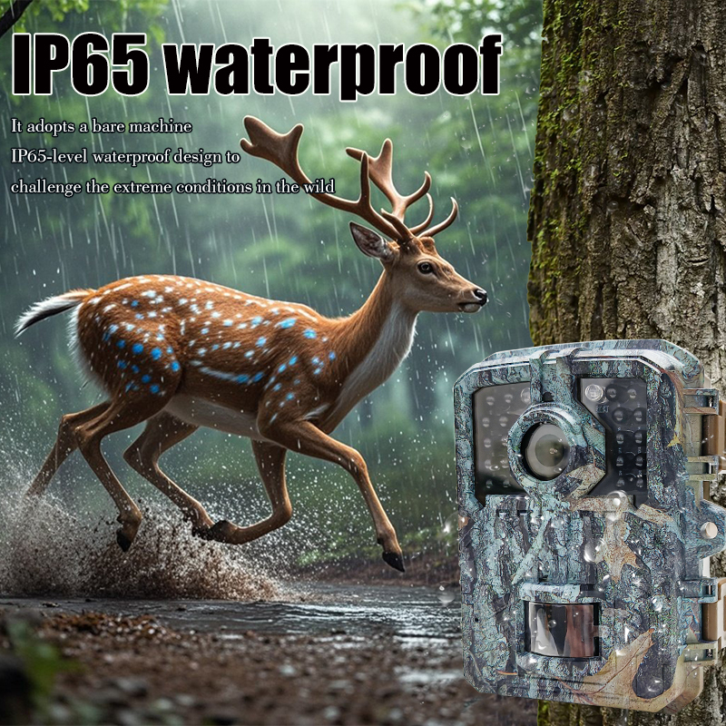 Hunting Trail Camera 16MP 1080 - Hunting Outdoor Camera ulasan dan harga